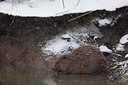 BUITEN BEELD Foto: 116669