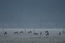 BUITEN BEELD Foto: 116673