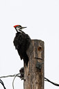 BUITEN BEELD Foto: 116741