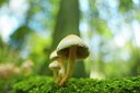 BUITEN BEELD Foto: 116805