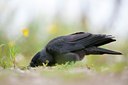 BUITEN BEELD Foto: 116833