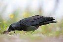 BUITEN BEELD Foto: 116834