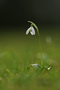 BUITEN BEELD Foto: 116877