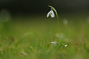 BUITEN BEELD Foto: 116878