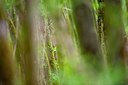 BUITEN BEELD Foto: 116992