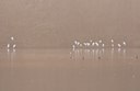BUITEN BEELD Foto: 117018