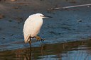 BUITEN BEELD Foto: 117032