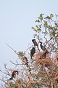 BUITEN BEELD Foto: 117140