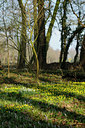 BUITEN BEELD Foto: 117185