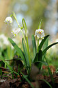 BUITEN BEELD Foto: 117197