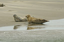 BUITEN BEELD Foto: 117257