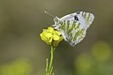 BUITEN BEELD Foto: 117324