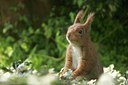 BUITEN BEELD Foto: 117345