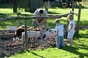 BUITEN BEELD Foto: 117512
