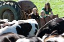 BUITEN BEELD Foto: 117534