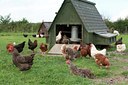 BUITEN BEELD Foto: 117548