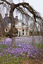 BUITEN BEELD Foto: 117654
