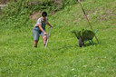BUITEN BEELD Foto: 117701