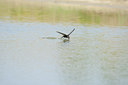 BUITEN BEELD Foto: 117783
