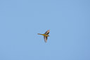 BUITEN BEELD Foto: 117784