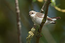 BUITEN BEELD Foto: 117892