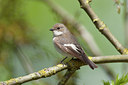 BUITEN BEELD Foto: 117893