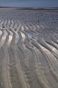 BUITEN BEELD Foto: 117901