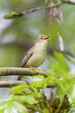 BUITEN BEELD Foto: 117917