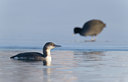 BUITEN BEELD Foto: 117954