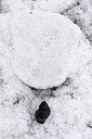 BUITEN BEELD Foto: 118003