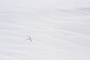 BUITEN BEELD Foto: 118014