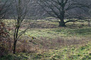 BUITEN BEELD Foto: 118045