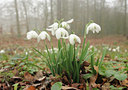 BUITEN BEELD Foto: 118150