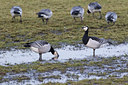 BUITEN BEELD Foto: 118218