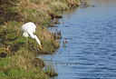 BUITEN BEELD Foto: 118350