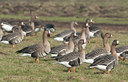 BUITEN BEELD Foto: 118684