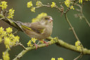 BUITEN BEELD Foto: 118728