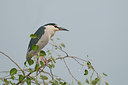 BUITEN BEELD Foto: 118747