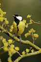 BUITEN BEELD Foto: 118763