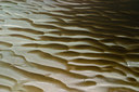 BUITEN BEELD Foto: 118833