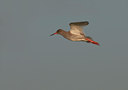 BUITEN BEELD Foto: 118846