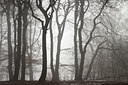 BUITEN BEELD Foto: 118881