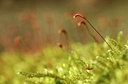 BUITEN BEELD Foto: 118886