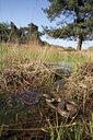BUITEN BEELD Foto: 11037