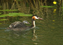 BUITEN BEELD Foto: 11187