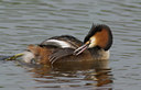 BUITEN BEELD Foto: 11199