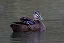BUITEN BEELD Foto: 11372