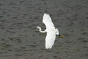 BUITEN BEELD Foto: 11384