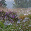 BUITEN BEELD Foto: 11448