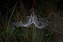 BUITEN BEELD Foto: 11453